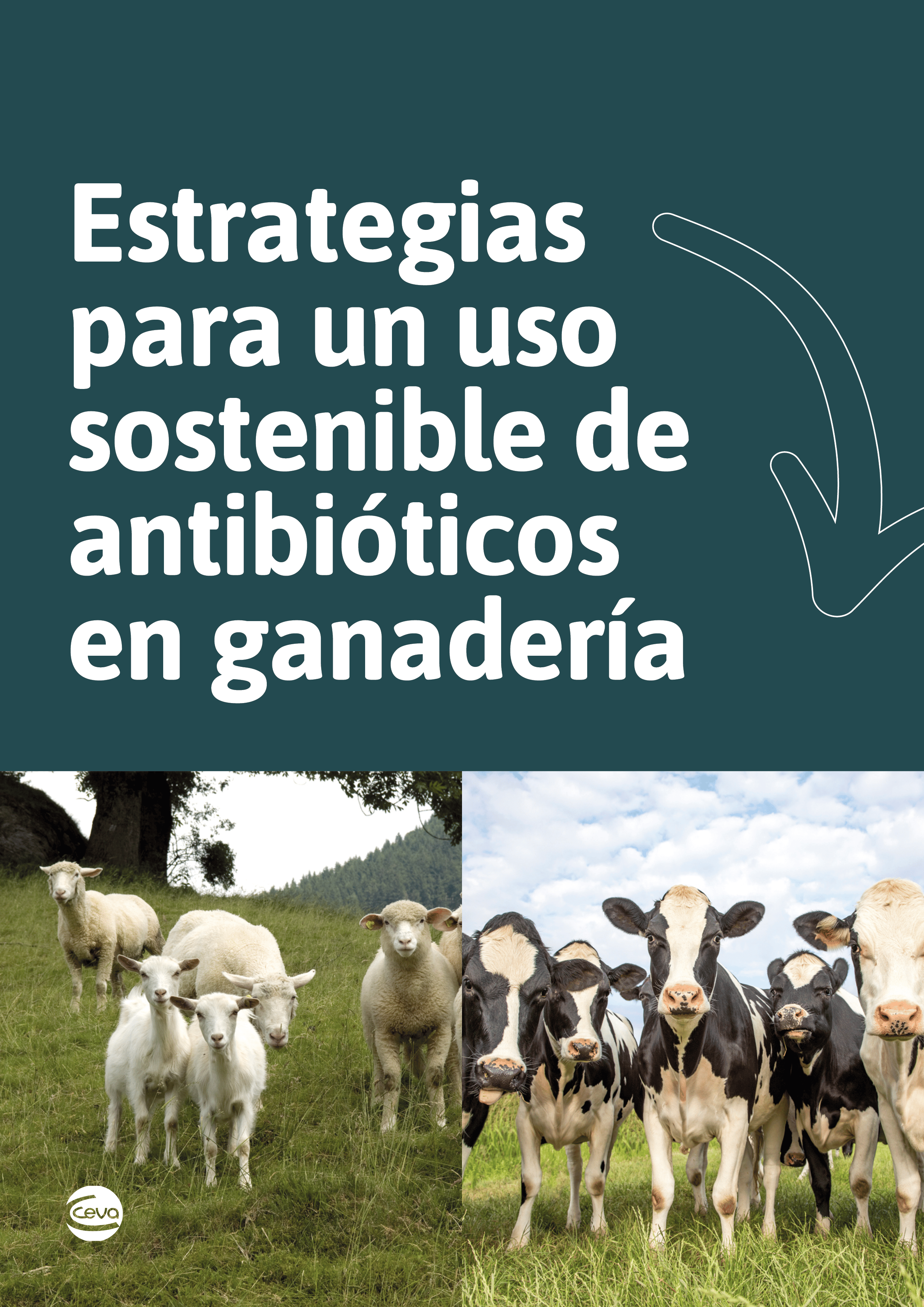 Estrategias para el uso sostenible de antibióticos